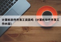 计算机软件开发工资高吗（计算机软件开发工作内容）