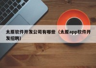 太原软件开发公司有哪些（太原app软件开发招聘）