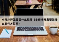 小程序开发要装什么软件（小程序开发要装什么软件才能用）