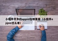 小程序开发的appid在哪里看（小程序appid怎么看）