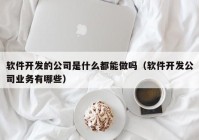 软件开发的公司是什么都能做吗（软件开发公司业务有哪些）