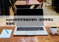 aspice软件开发组织架构（软件开发公司架构）