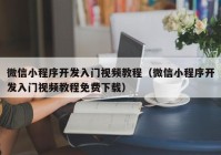 微信小程序开发入门视频教程（微信小程序开发入门视频教程免费下载）