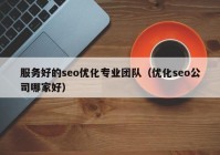 服务好的seo优化专业团队（优化seo公司哪家好）