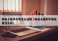 微信小程序开发怎么选择（微信小程序开发设置怎么弄）