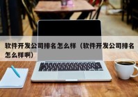 软件开发公司排名怎么样（软件开发公司排名怎么样啊）