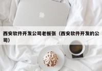 西安软件开发公司老板张（西安软件开发的公司）