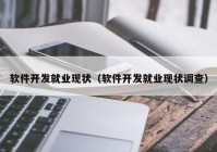 软件开发就业现状（软件开发就业现状调查）