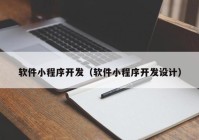 软件小程序开发（软件小程序开发设计）