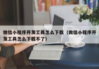 微信小程序开发工具怎么下载（微信小程序开发工具怎么下载不了）