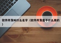 软件开发叫什么名字（软件开发是干什么用的）