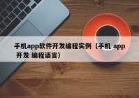 手机app软件开发编程实例（手机 app 开发 编程语言）