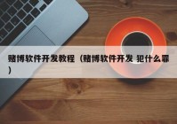 赌博软件开发教程（赌博软件开发 犯什么罪）