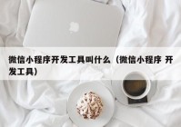 微信小程序开发工具叫什么（微信小程序 开发工具）