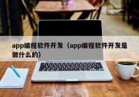 app编程软件开发（app编程软件开发是做什么的）