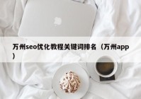 万州seo优化教程关键词排名（万州app）