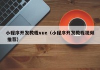 小程序开发教程vue（小程序开发教程视频 推荐）