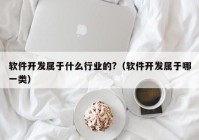 软件开发属于什么行业的?（软件开发属于哪一类）