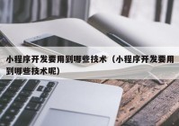 小程序开发要用到哪些技术（小程序开发要用到哪些技术呢）