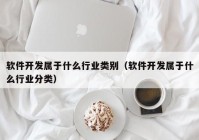 软件开发属于什么行业类别（软件开发属于什么行业分类）