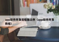 app软件开发流程图示例（app软件开发教程）