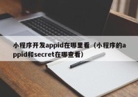 小程序开发appid在哪里看（小程序的appid和secret在哪查看）