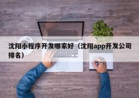 沈阳小程序开发哪家好（沈阳app开发公司排名）