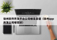 徐州软件开发平台公司哪家靠谱（徐州app开发公司哪家好）