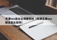 天津seo优化公司哪家好（天津百度seo排名优化软件）