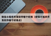 微信小程序开发软件哪个好用（微信小程序开发软件哪个好用点）