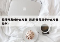 软件开发叫什么专业（软件开发属于什么专业类别）