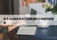 关于seo优化从入门到精通的十大技巧的信息