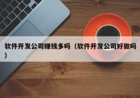 软件开发公司赚钱多吗（软件开发公司好做吗）