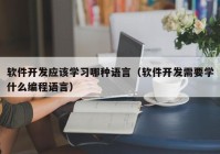 软件开发应该学习哪种语言（软件开发需要学什么编程语言）