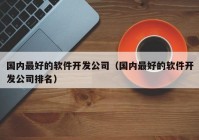 国内最好的软件开发公司（国内最好的软件开发公司排名）