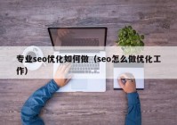 专业seo优化如何做（seo怎么做优化工作）